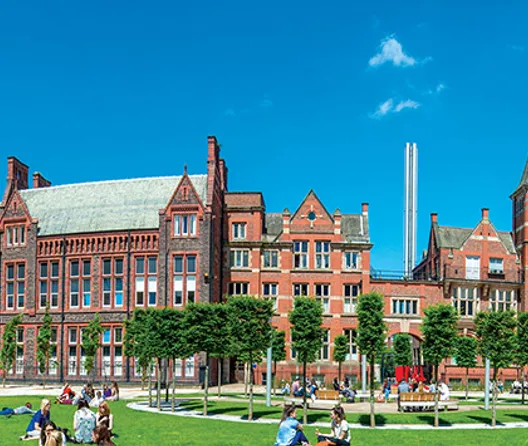 Do I Need a Study Abroad Consultant to Apply to Universities Abroad?